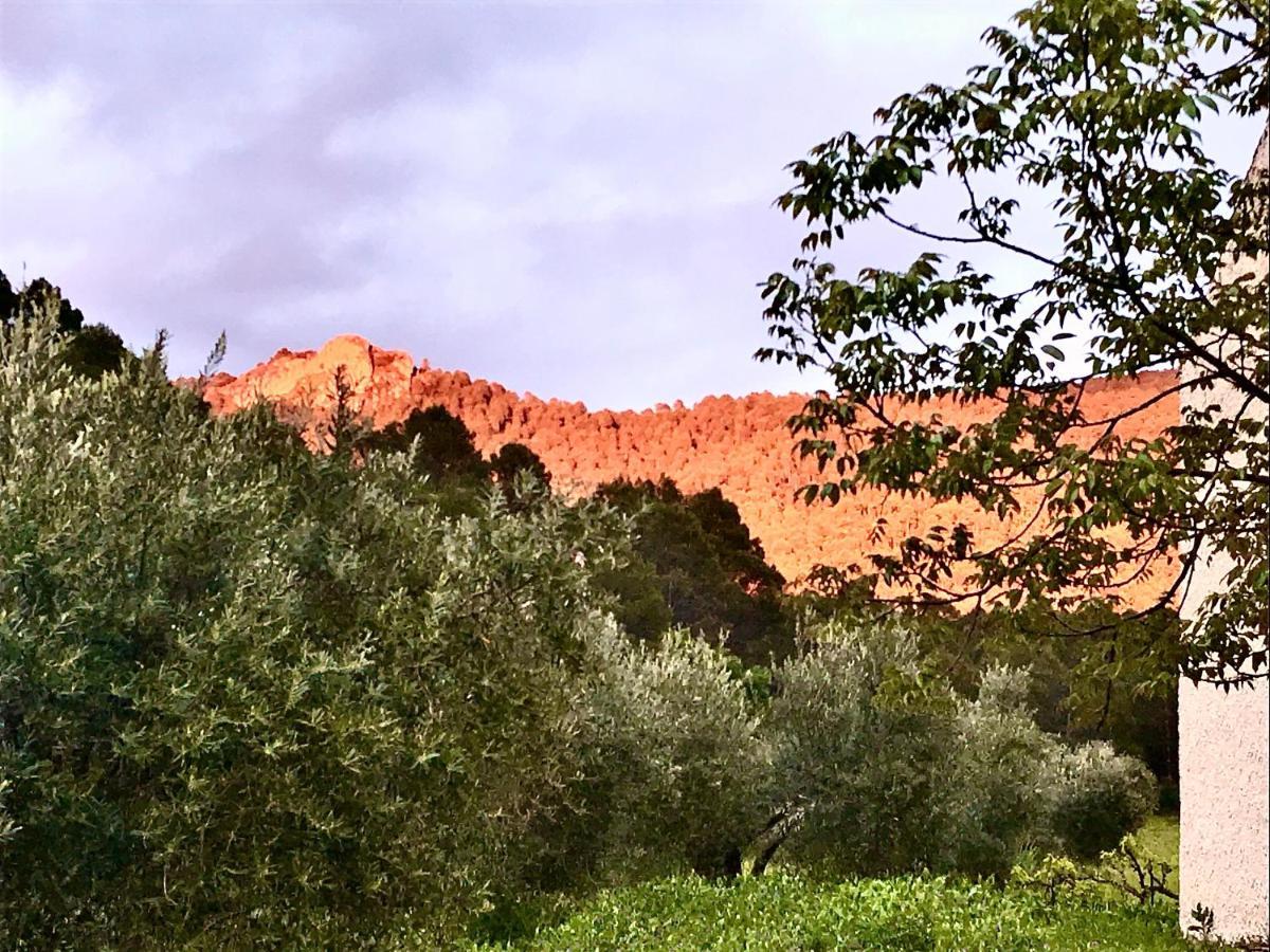 Casa Rural Cortijo La Ajedrea Siles Luaran gambar